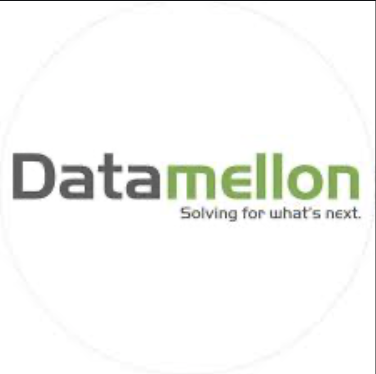 Datamellon logo